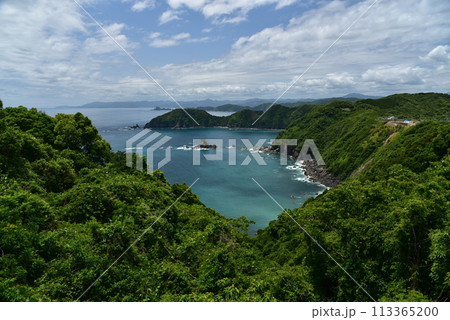 空の青、海の青が木々の緑に映える高知県横波半島 空の青、海の青が木々の緑に映える高知県横波半島 113365200