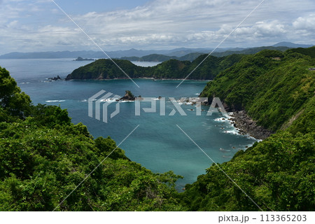 空の青、海の青が木々の緑に映える高知県横波半島 空の青、海の青が木々の緑に映える高知県横波半島 113365203