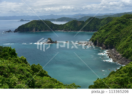 空の青、海の青が木々の緑に映える高知県横波半島 空の青、海の青が木々の緑に映える高知県横波半島 113365206