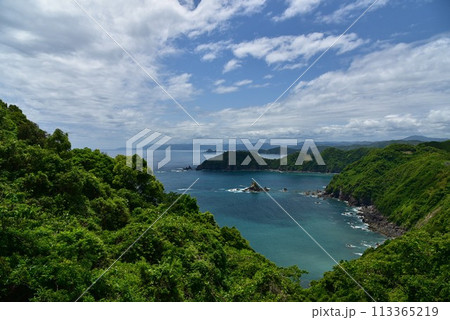 空の青、海の青が木々の緑に映える高知県横波半島 空の青、海の青が木々の緑に映える高知県横波半島 113365219