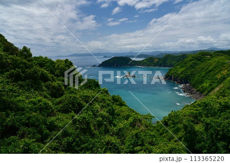 空の青、海の青が木々の緑に映える高知県横波半島 空の青、海の青が木々の緑に映える高知県横波半島 113365220