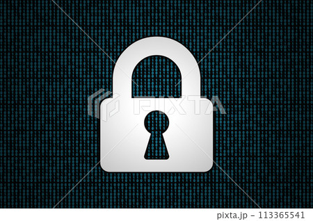 Security on a binary code 113365541