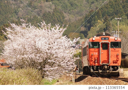山口線・春の渡川駅をゆっくり発車するタラコちゃん 山口線・春の渡川駅をゆっくり発車するタラコちゃん 113365554