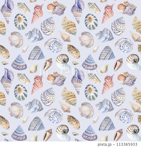 Sea shells. Seamless pattern with seashells. Marine background. Watercolor illustration for wrapping, textile, fabric  113365933