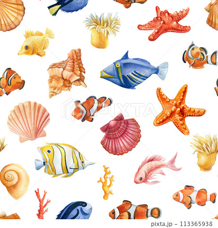 Seamless pattern with fish, seashells and starfish. Marine background. Watercolor illustration for wrapping, sea textile Seamless pattern with fish, seashells and starfish. Marine background. Watercolor illustration for wrapping, sea textile 113365938