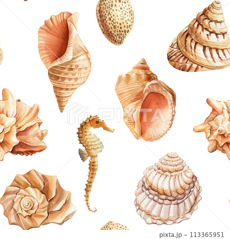 Watercolor marine seamless pattern. Underwater creatures seahorse, marine nautical wallpaper, background Hand drawn Watercolor marine seamless pattern. Underwater creatures seahorse, marine nautical wallpaper, background Hand drawn 113365951
