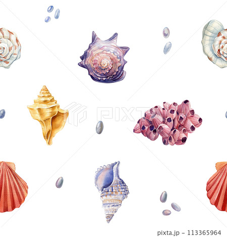Watercolor seashell seamless pattern. Underwater creatures, Seashell repeat texture background. Hand drawn wallpaper 113365964