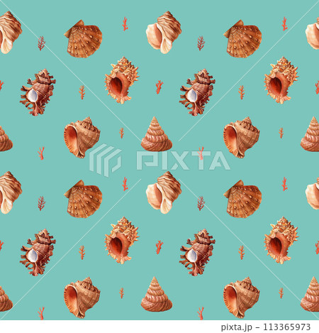 Watercolor seashell seamless pattern. Underwater creatures sea shell, nautical Design wallpaper 113365973