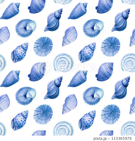 Watercolor marine seamless patterns. Seashells nautical wallpaper, background Hand drawn painting. Blue sea shell 113365978