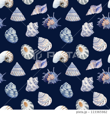 Watercolor marine seamless patterns. Seashells nautical wallpaper, background Hand drawn painting. Blue sea shell 113365982