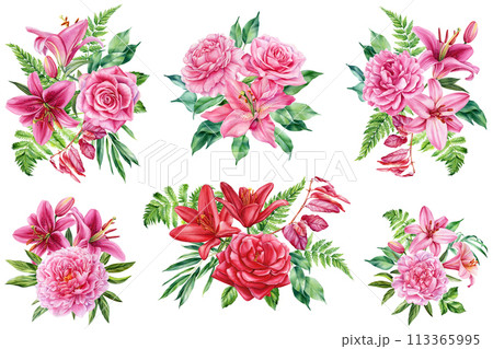 Pink floral set. Peony, rose and lily flower isolated on white background. Hand drawn watercolor botanical illustration 113365995