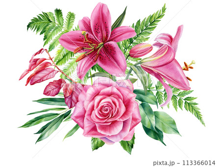 Pink floral set. Rose, leaves and lily flower isolated on white background. Hand drawn watercolor botanical illustration Pink floral set. Rose, leaves and lily flower isolated on white background. Hand drawn watercolor botanical illustration 113366014