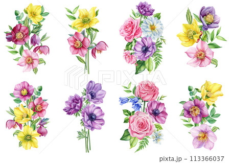 Vintage floral. Wildflowers anemone, rose, dahlia on isolated white background. Watercolor hand drawn botanical flora Vintage floral. Wildflowers anemone, rose, dahlia on isolated white background. Watercolor hand drawn botanical flora 113366037