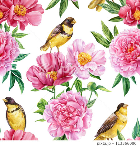 Seamless pattern with floral. Watercolor birds and peonies flowers background. Spring illustration romantic, hand drawn 113366080