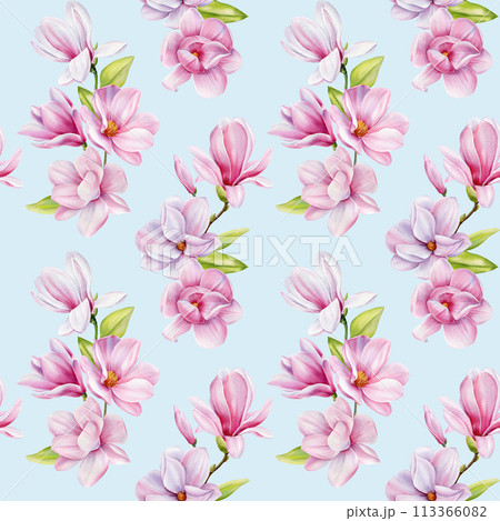 Spring magnolia blooming flowers. Seamless pattern pink petals, blossom, branches. Design spring floral background 113366082