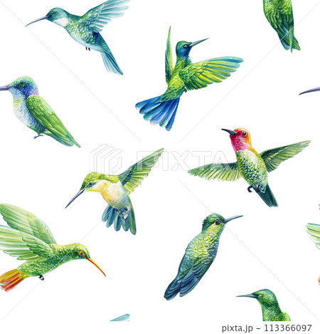 Watercolor colorful birds, hand drawn hummingbirds background. Seamless pattern, backdrop design, fabric, wallpaper 113366097