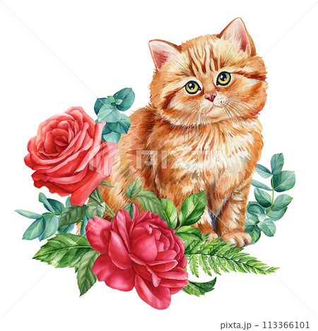 Cute Red Cat with beautiful flowers of peonies and rose isolated background, watercolor Hand drawing, card, kitty poster Cute Red Cat with beautiful flowers of peonies and rose isolated background, watercolor Hand drawing, card, kitty poster 113366101