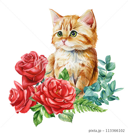 Cute Red Cat with beautiful flowers of peonies and rose isolated background, watercolor Hand drawing, card, kitty poster Cute Red Cat with beautiful flowers of peonies and rose isolated background, watercolor Hand drawing, card, kitty poster 113366102
