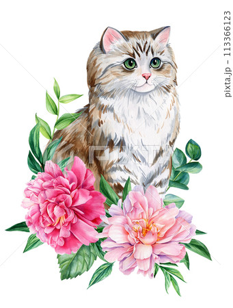 Cute cat with pink peonies flowers, leaves on an isolated white background, animals illustration poster, watercolor Cute cat with pink peonies flowers, leaves on an isolated white background, animals illustration poster, watercolor 113366123