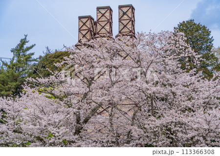 【静岡県】桜満開の韮山反射炉 113366308