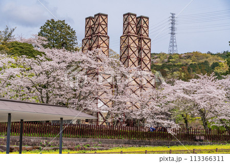 【静岡県】桜満開の韮山反射炉 113366311