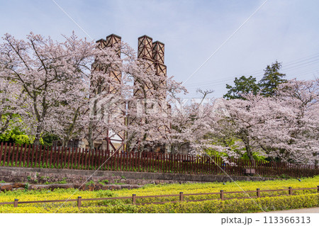 【静岡県】桜満開の韮山反射炉 113366313