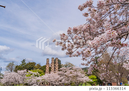 【静岡県】桜満開の韮山反射炉 113366314