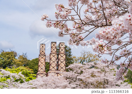 【静岡県】桜満開の韮山反射炉 【静岡県】桜満開の韮山反射炉 113366316