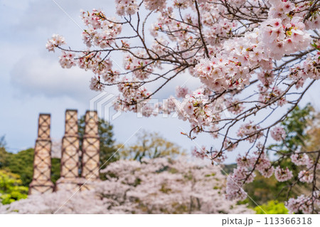 【静岡県】桜満開の韮山反射炉 113366318