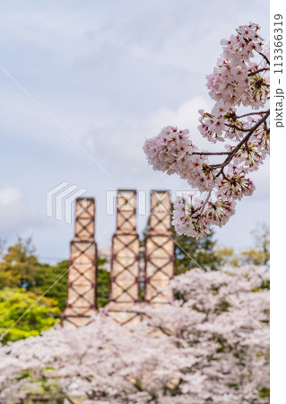 【静岡県】桜満開の韮山反射炉 113366319