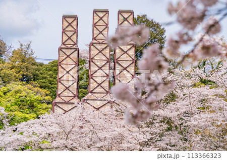 【静岡県】桜満開の韮山反射炉 【静岡県】桜満開の韮山反射炉 113366323