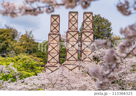 【静岡県】桜満開の韮山反射炉 113366325