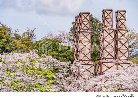 【静岡県】桜満開の韮山反射炉 113366329