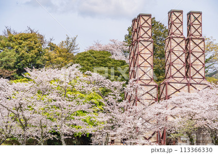 【静岡県】桜満開の韮山反射炉 113366330