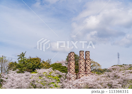 【静岡県】桜満開の韮山反射炉 113366331