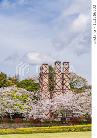 【静岡県】桜満開の韮山反射炉 113366332