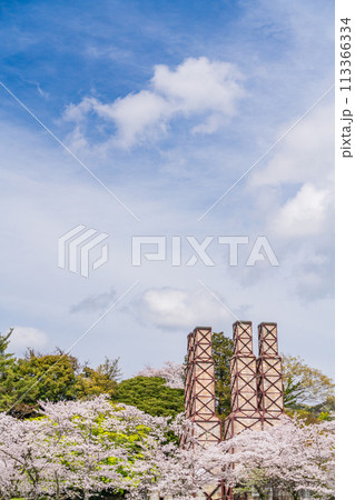 【静岡県】桜満開の韮山反射炉 【静岡県】桜満開の韮山反射炉 113366334