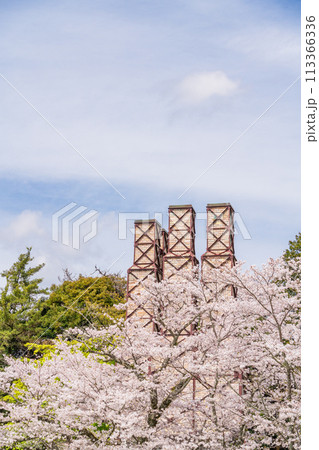 【静岡県】桜満開の韮山反射炉 113366336