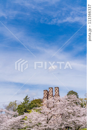 【静岡県】桜満開の韮山反射炉 113366337
