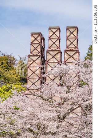 【静岡県】桜満開の韮山反射炉 113366338