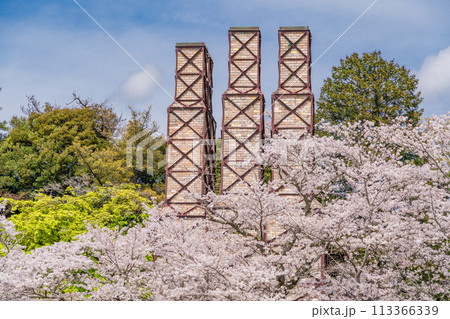 【静岡県】桜満開の韮山反射炉 113366339