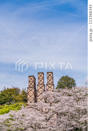 【静岡県】桜満開の韮山反射炉 【静岡県】桜満開の韮山反射炉 113366343