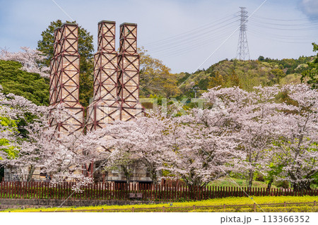 【静岡県】桜満開の韮山反射炉 113366352