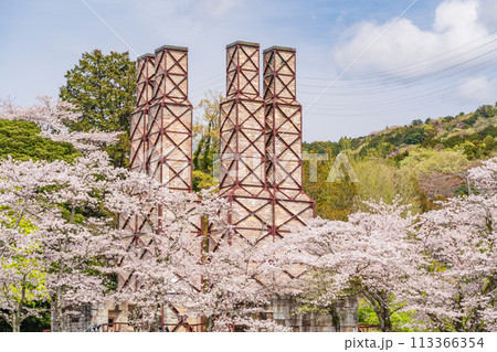 【静岡県】桜満開の韮山反射炉 113366354