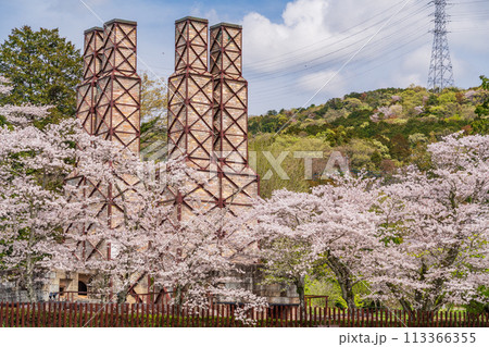 【静岡県】桜満開の韮山反射炉 113366355