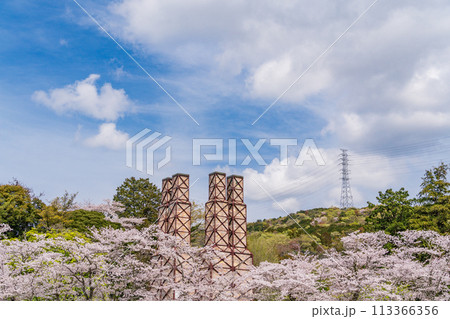 【静岡県】桜満開の韮山反射炉 113366356