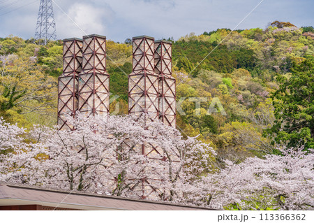 【静岡県】桜満開の韮山反射炉 113366362