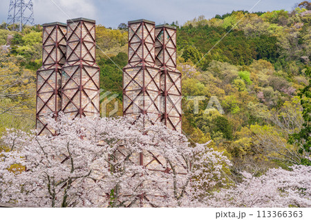 【静岡県】桜満開の韮山反射炉 113366363