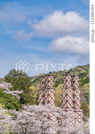 【静岡県】桜満開の韮山反射炉 【静岡県】桜満開の韮山反射炉 113366364