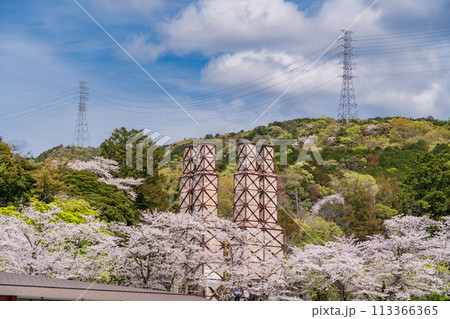 【静岡県】桜満開の韮山反射炉 【静岡県】桜満開の韮山反射炉 113366365